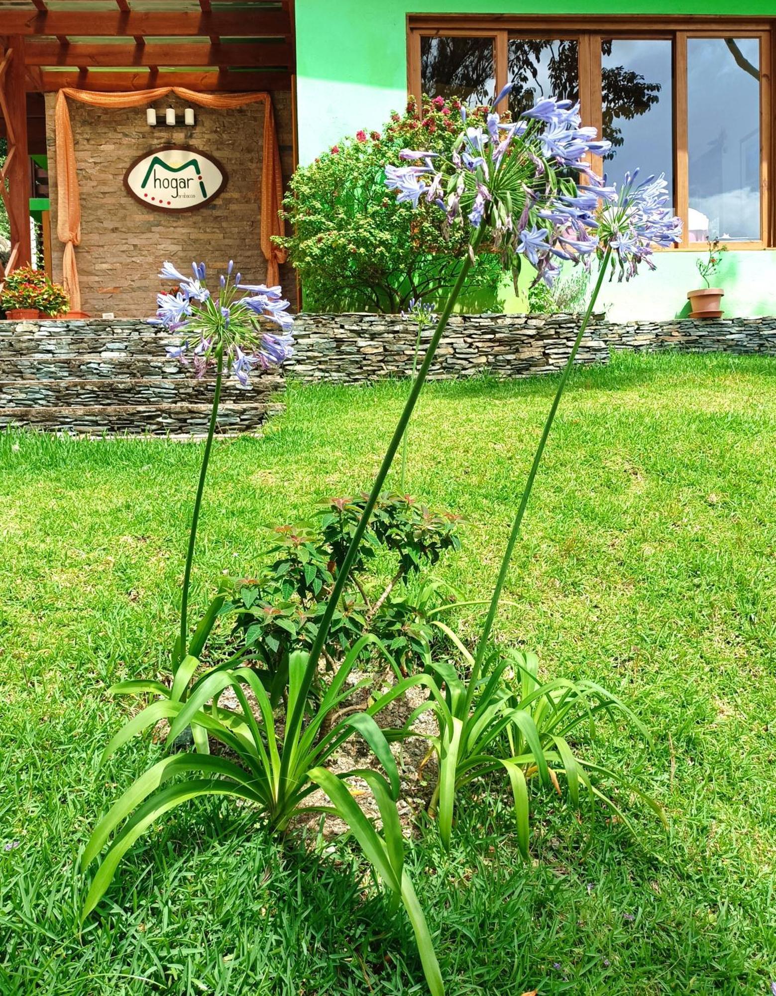 Mi Hogar Jarabacoa Daire Dış mekan fotoğraf