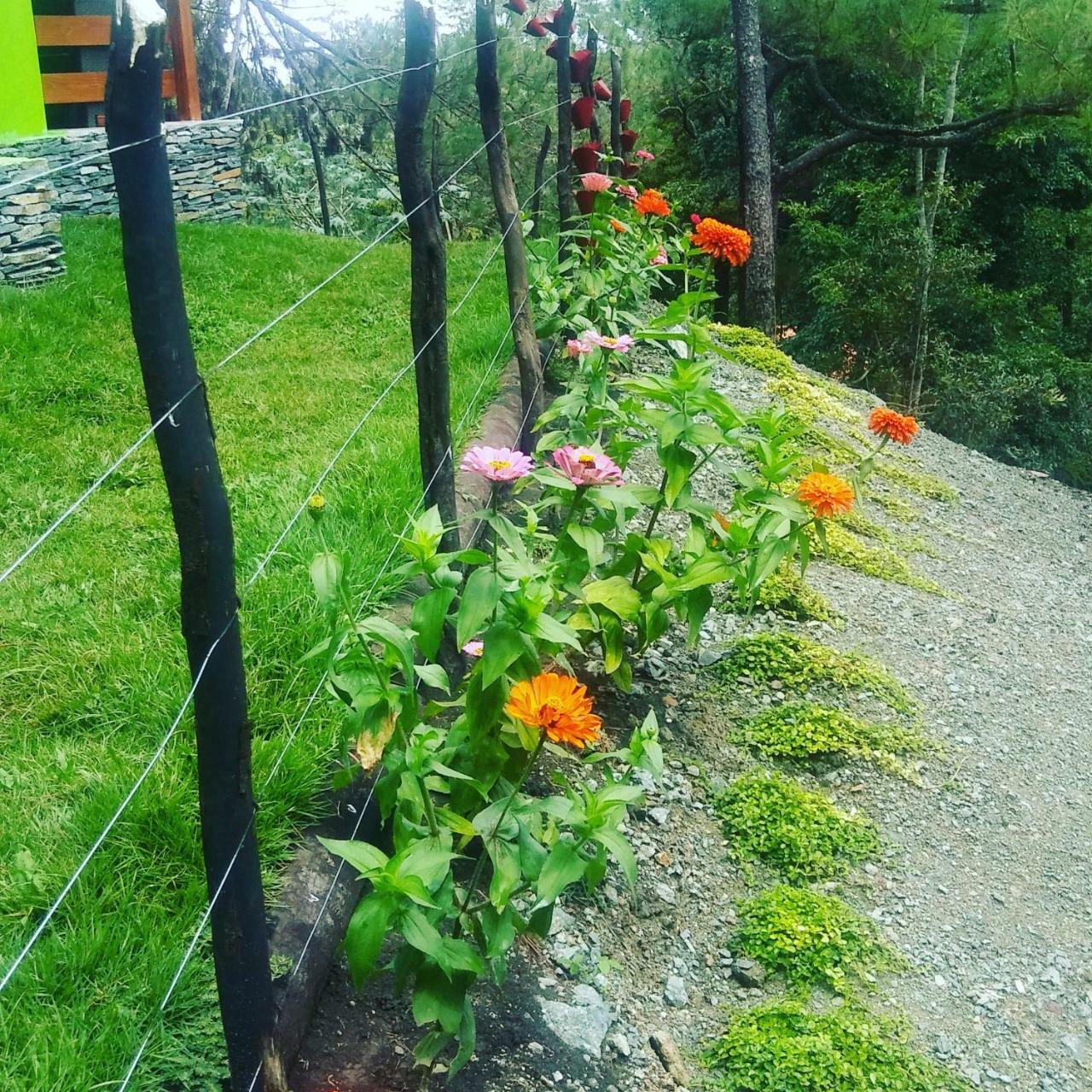 Mi Hogar Jarabacoa Daire Dış mekan fotoğraf